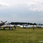 Lotsa Lotsa MUSTANGS!