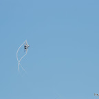 DSC_0061.JPG