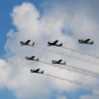 DSC_0486.JPG