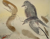 American Crow