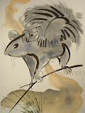 Gray Squirrel Limited Edition Print
