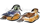 Wood Ducks Limited Edition Print