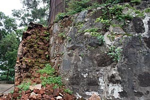 [IMG_93237.jpg]