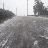 DSC02439 [800x600].jpg