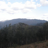 DSC02831 [800x600].jpg