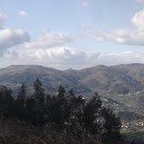 DSC02838 [800x600].jpg