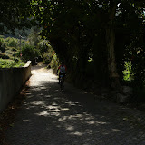 DSC00794.JPG