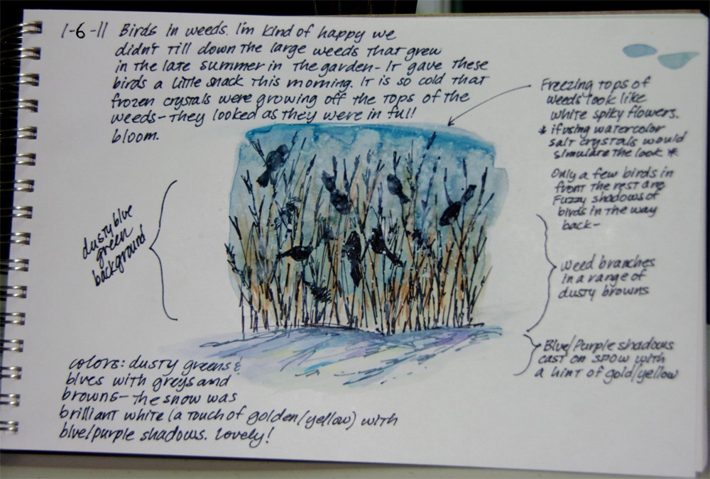 [cdillhoff1_6_11_birds[3].jpg]
