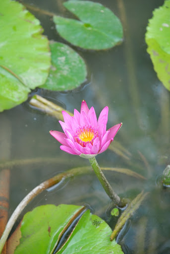 圖檔