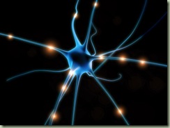 neuronio