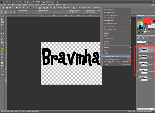converto to raster layer
