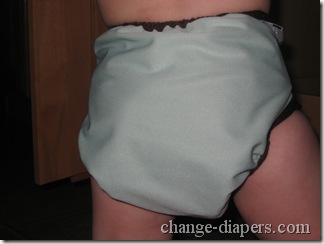 nicki's best bottom diapering system