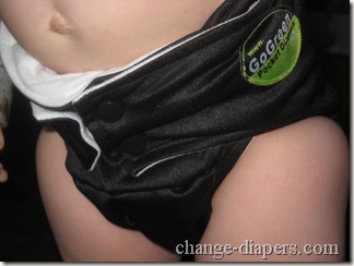 gogreen champ diaper medium 21ish lb baby