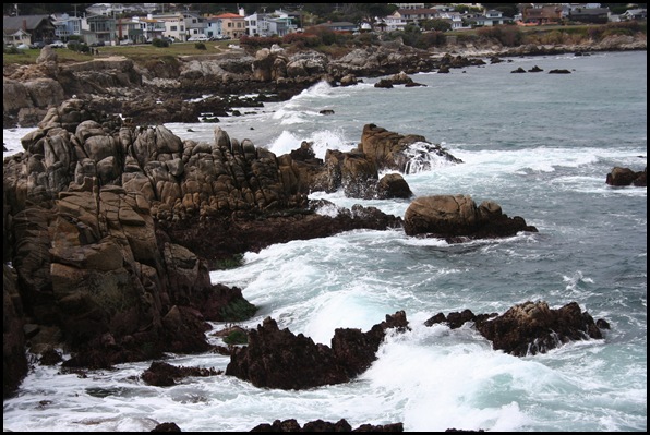 IMG_0538