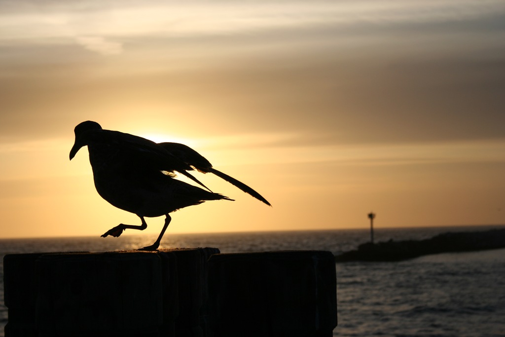 [IMG_48794.jpg]
