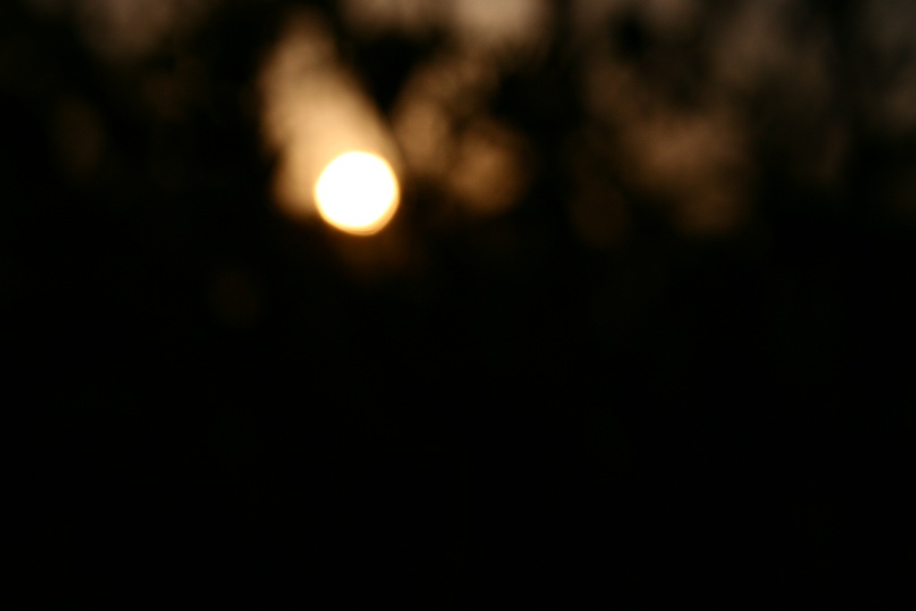 [IMG_49003.jpg]