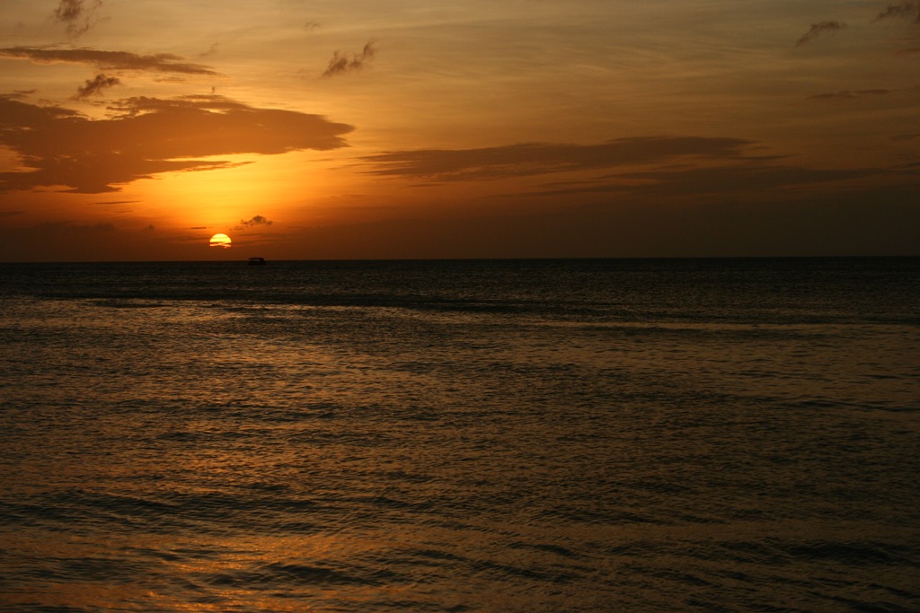 [IMG_58143.jpg]