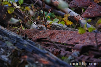 DSC_0054 DSC_0054