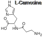Carnosina Carnosina
