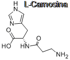 Carnosina9 Carnosina & Beta-alanina