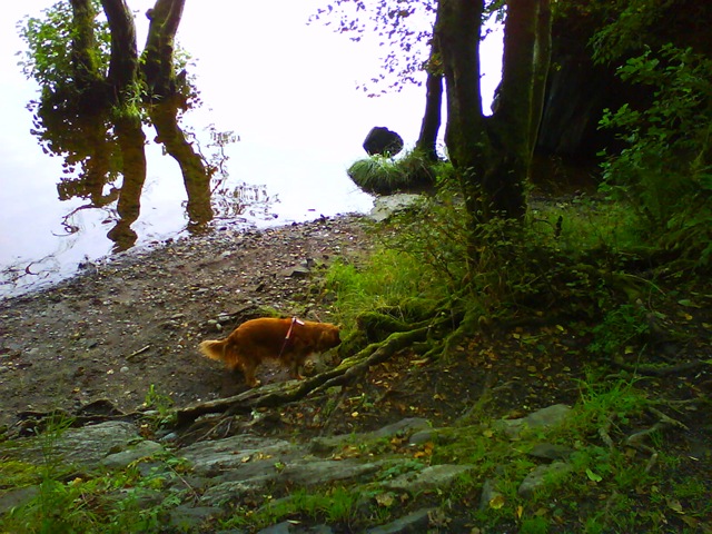 [DSC025804.jpg]