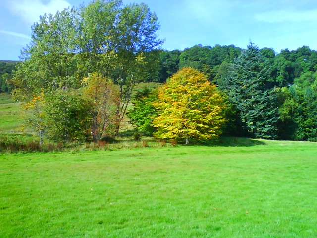 [DSC026563.jpg]