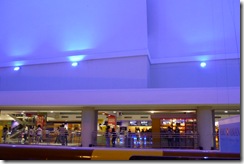 P1000488