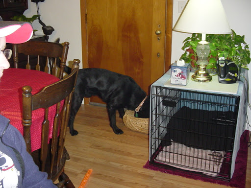 Buddy's Toy's