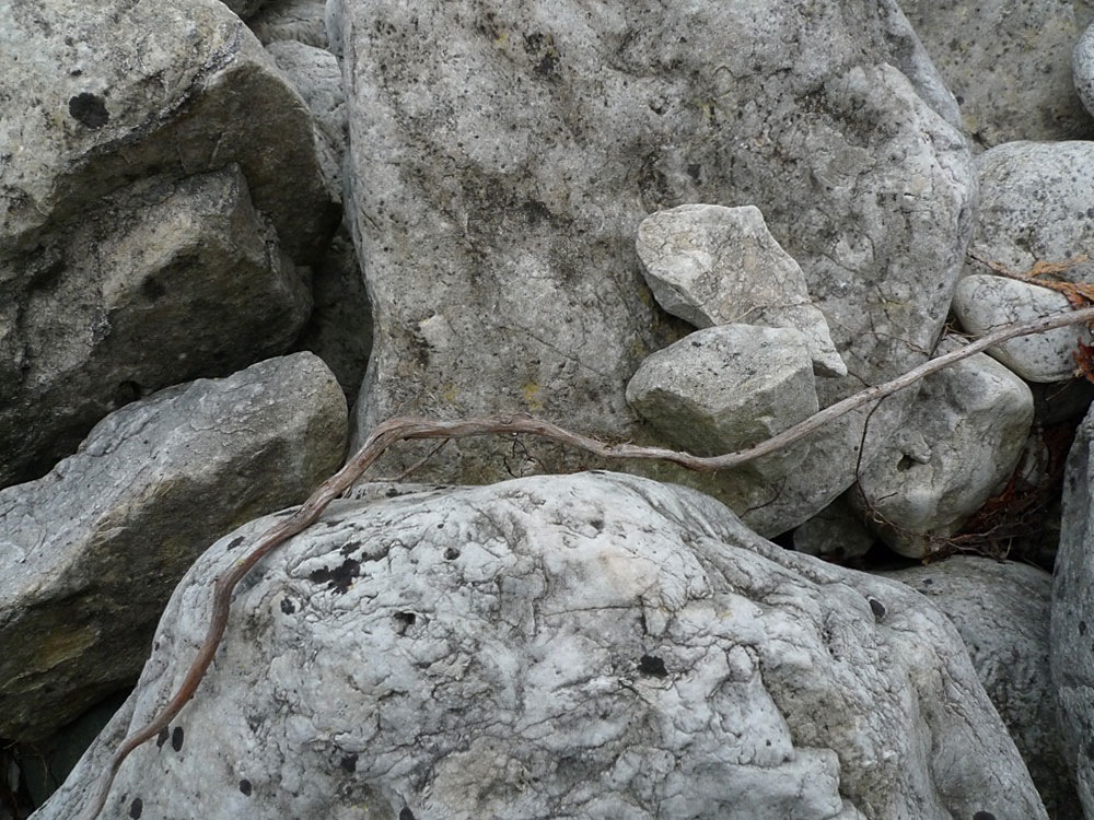 [P1000305-w[2].jpg]