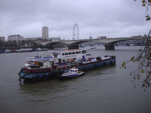 DSC00904.jpg