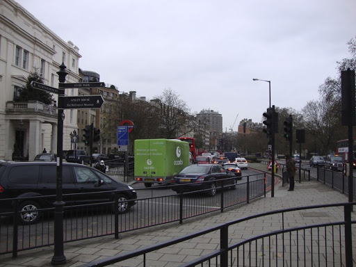 DSC01141.jpg