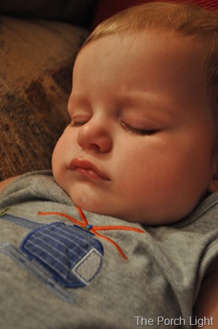 [DSC_0033[5].jpg]