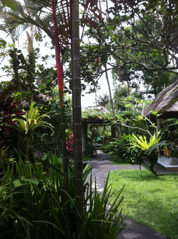 cafewayan4