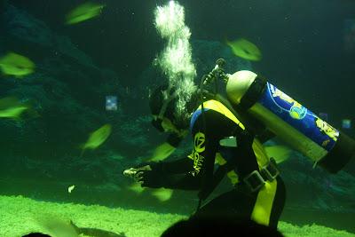manila ocean park, manila