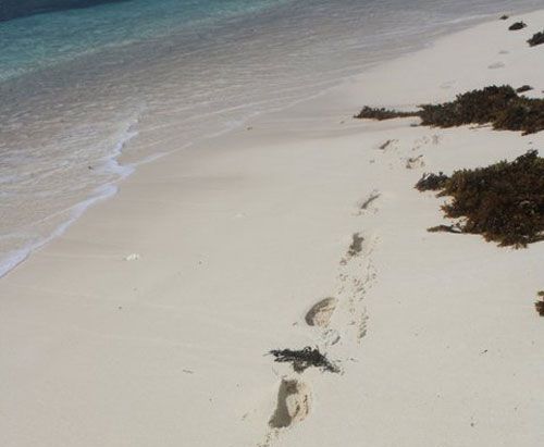 general luna, siargao