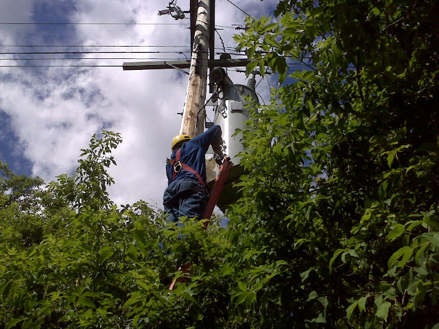 Voltage Regulator Check