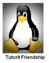 [tutoritfriendshipaward2.jpg]