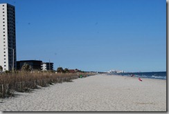 DSC_2104 DSC_2104