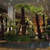 Jungle at Terminal 2 @ Changi Airport