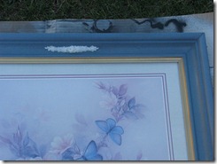 IMG_1486 IMG_1486