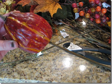 IMG_0109 IMG_0109
