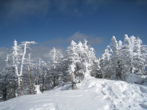 IMG_2829 IMG_2829