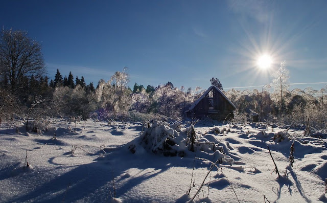 Foto: Bello paisaje nevado en Eslovaquia
