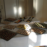 ESG-Sommerball 2010