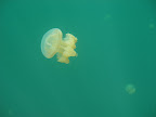 Palau, Micronesia Slideshow