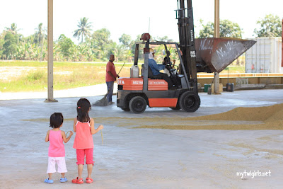 Girls watching scooper truck at work