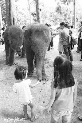 Kuala Gandah Elephant Sanctuary - Girls with elephant