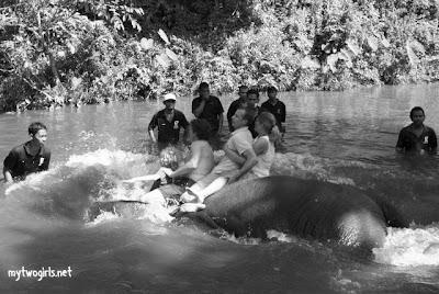 Kuala Gandah Elephant Sanctuary - Elephant Ride