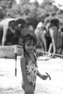 Kuala Gandah Elephant Sanctuary - Zara