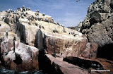 Isla Ballestas